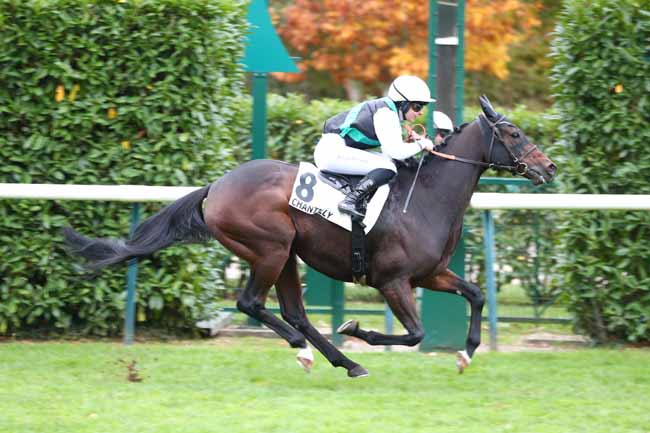 Photo d'arrivée de la course pmu PRIX DE L'AMANTE INQUIETE à CHANTILLY le Mardi 14 octobre 2025