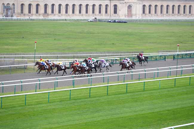 Photo d'arrivée de la course pmu PRIX DU CHENE DE LA BASSE POMMERAIE à CHANTILLY le Mardi 14 octobre 2025