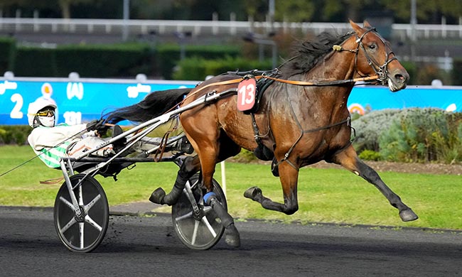 Photo d'arrivée de la course pmu PRIX ARETHUSA à PARIS-VINCENNES le Mardi 14 octobre 2025