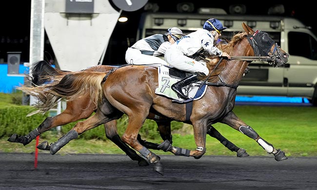 Photo d'arrivée de la course pmu PRIX ORION à PARIS-VINCENNES le Mardi 14 octobre 2025