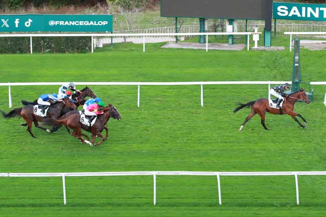Photo d'arrivée de la course pmu PRIX DU PAYS D'ORTHE à SAINT CLOUD le Jeudi 16 octobre 2025