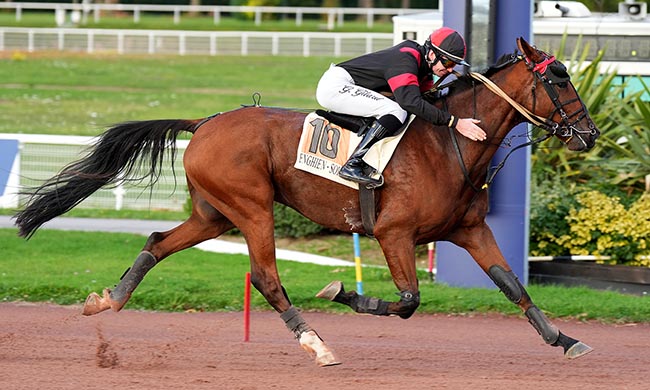 Photo d'arrivée de la course pmu PRIX DE LA PORTE SAINT-DENIS à ENGHIEN le Jeudi 16 octobre 2025