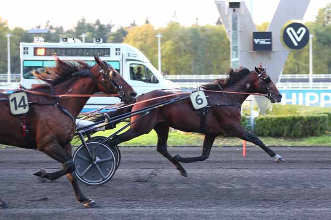 Photo d'arrivée de la course pmu PRIX THEMIS à PARIS-VINCENNES le Vendredi 17 octobre 2025