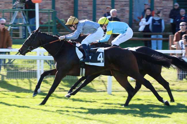 Photo d'arrivée de la course pmu PRIX MAITRES ET SOUS-MAITRES DE MANEGE DU REGIMENT DE CAVALERIE à FONTAINEBLEAU le Vendredi 17 octobre 2025