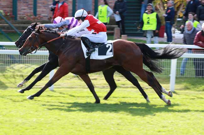 Photo d'arrivée de la course pmu PRIX DE LA MARE AUX EVEES à FONTAINEBLEAU le Vendredi 17 octobre 2025