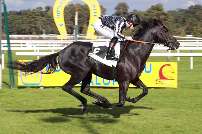 Photo d'arrivée de la course pmu PRIX DES MYOSOTIS à FONTAINEBLEAU le Vendredi 17 octobre 2025