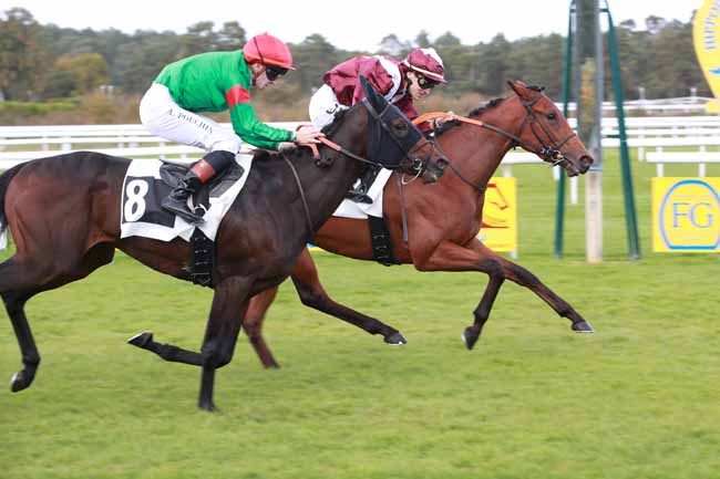Photo d'arrivée de la course pmu PRIX DES BICHES à FONTAINEBLEAU le Vendredi 17 octobre 2025