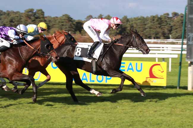 Photo d'arrivée de la course pmu PRIX DES CHEVREUILS à FONTAINEBLEAU le Vendredi 17 octobre 2025