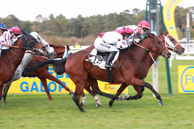Photo d'arrivée de la course pmu PRIX DES PINS LARICIO à FONTAINEBLEAU le Vendredi 17 octobre 2025