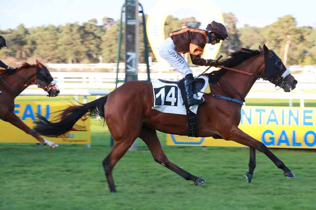 Photo d'arrivée de la course pmu PRIX DE LA MALMONTAGNE à FONTAINEBLEAU le Vendredi 17 octobre 2025