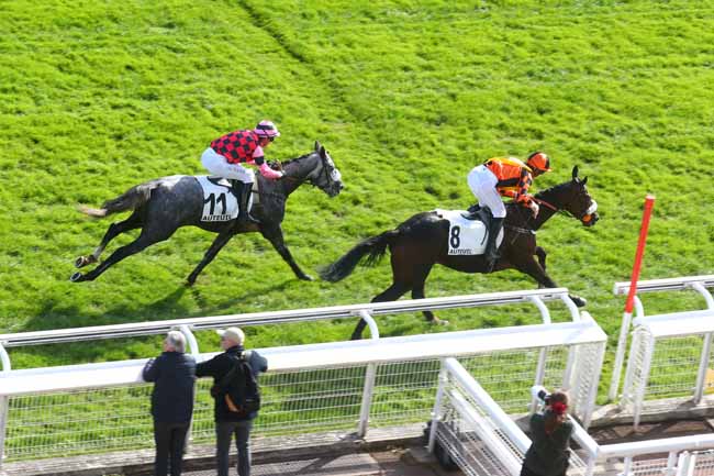 Photo d'arrivée de la course pmu PRIX ISOPANI à AUTEUIL le Samedi 18 octobre 2025