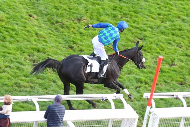 Photo d'arrivée de la course pmu PRIX CARMARTHEN à AUTEUIL le Samedi 18 octobre 2025