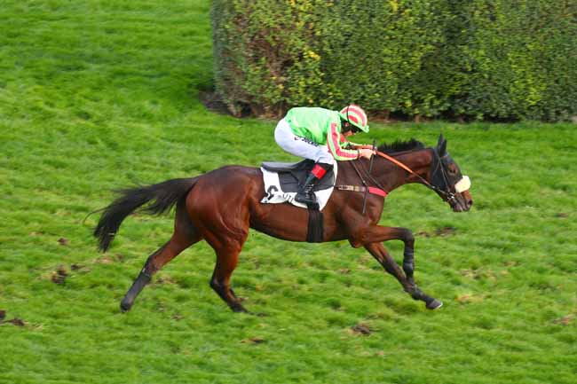 Photo d'arrivée de la course pmu PRIX ORCADA à AUTEUIL le Samedi 18 octobre 2025