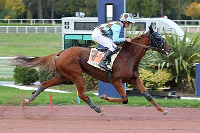 Photo d'arrivée de la course pmu PRIX DE LA PLACE DES FETES à ENGHIEN le Samedi 18 octobre 2025