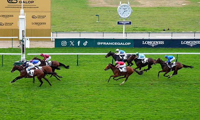 Photo d'arrivée de la course pmu PRIX DU CONSEIL DE PARIS à LONGCHAMP le Dimanche 19 octobre 2025