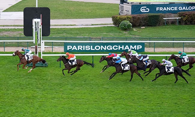 Photo d'arrivée de la course pmu PRIX DES HAUDRIETTES à LONGCHAMP le Dimanche 19 octobre 2025