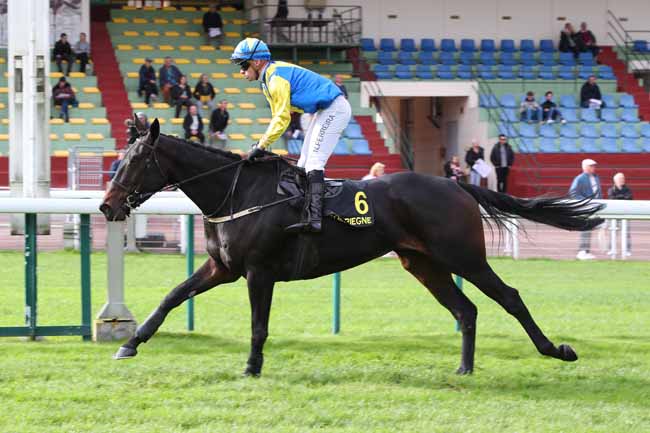 Photo d'arrivée de la course pmu PRIX VERTIGE à COMPIEGNE le Lundi 20 octobre 2025