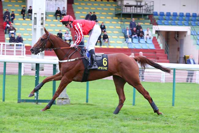 Photo d'arrivée de la course pmu PRIX LOUIS CHAMPION à COMPIEGNE le Lundi 20 octobre 2025