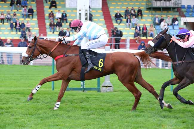 Photo d'arrivée de la course pmu PRIX DE COYE à COMPIEGNE le Lundi 20 octobre 2025