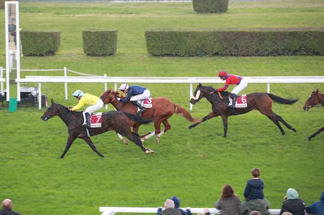 Photo d'arrivée de la course pmu PRIX BOUTIQUE DE CLAIREFONTAINE (PRIX DE LA COUTURE BARDIN) à CLAIREFONTAINE le Mardi 21 octobre 2025