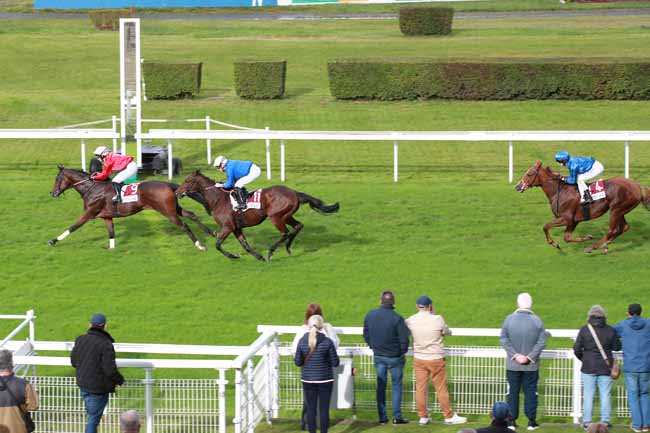 Photo d'arrivée de la course pmu PRIX CONCOURS DE SCULPTURE CITROUILLES HALLOWEEN 24/10 (PRIX DES ASTRANCES) à CLAIREFONTAINE le Mardi 21 octobre 2025