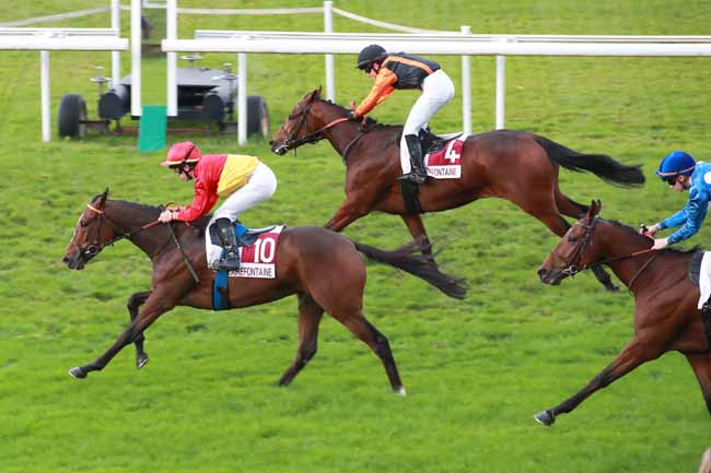 Photo d'arrivée de la course pmu PRIX VIVES LES VACANCES AVEC L'ARTISTE RENE SEDILLIERE (PRIX DE L'ETABLISSEMENT DES VENTES) à CLAIREFONTAINE le Mardi 21 octobre 2025