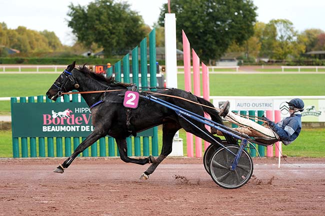 Arrivée quinté pmu GRAND PRIX BARON D'ARDEUIL AOC BUZET à BEAUMONT DE LOMAGNE
