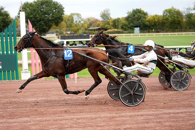 Photo d'arrivée de la course pmu PRIX DU CREDIT AGRICOLE NORD MIDI-PYRENEES à BEAUMONT DE LOMAGNE le Mercredi 22 octobre 2025