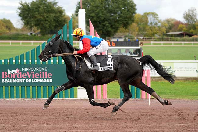 Photo d'arrivée de la course pmu PRIX 