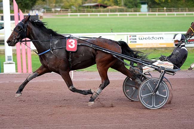 Photo d'arrivée de la course pmu PRIX DE L'HIPPODROME DE TOULOUSE-LA CEPIERE à BEAUMONT DE LOMAGNE le Mercredi 22 octobre 2025