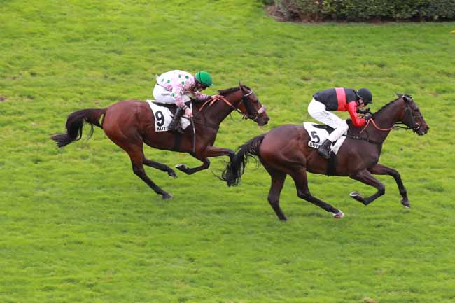 Arrivée quinté pmu PRIX MONTGOMERY à AUTEUIL
