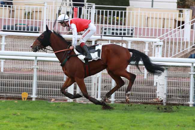 Photo d'arrivée de la course pmu PRIX PAUL'S CRAY à AUTEUIL le Jeudi 23 octobre 2025