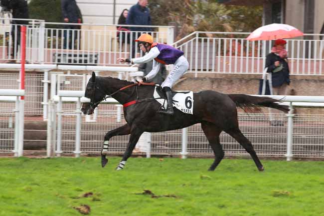 Photo d'arrivée de la course pmu PRIX ADRIEN BESNOUIN à AUTEUIL le Jeudi 23 octobre 2025