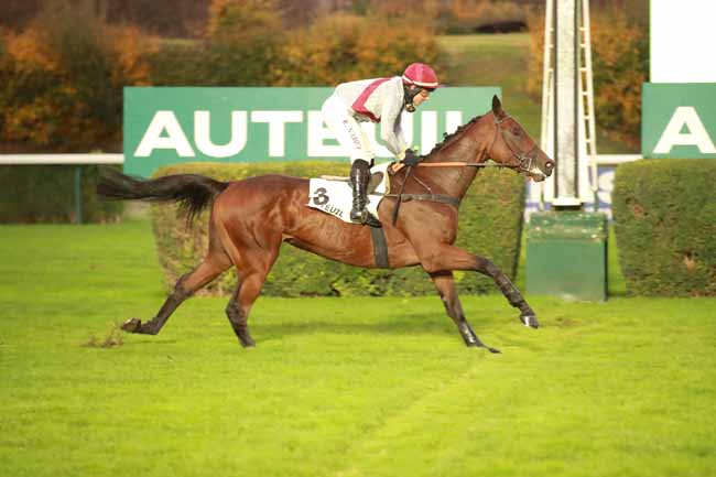 Photo d'arrivée de la course pmu PRIX ROBERT BATES à AUTEUIL le Jeudi 23 octobre 2025
