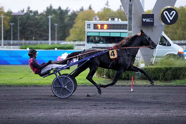 Photo d'arrivée de la course pmu PRIX ZOSMA à PARIS-VINCENNES le Vendredi 24 octobre 2025