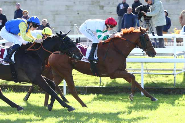 Photo d'arrivée de la course pmu PRIX CLOTURE DU MEETING CLAIREFONTAINE EST MAGIQUE (PRIX CHARLIE ELLIOTT) à CLAIREFONTAINE le Vendredi 24 octobre 2025