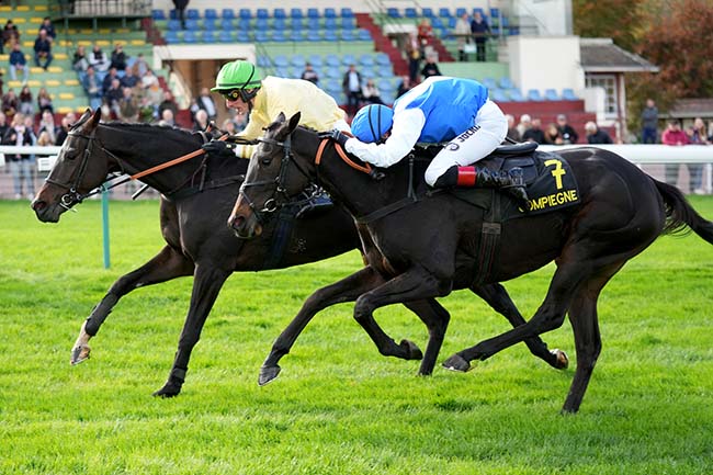 Photo d'arrivée de la course pmu PRIX D'IENA à COMPIEGNE le Samedi 25 octobre 2025