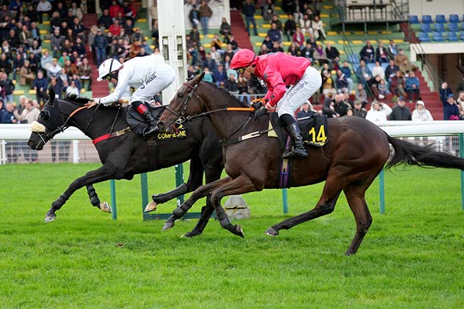 Arrivée quinté pmu PRIX CEREALISTE à COMPIEGNE