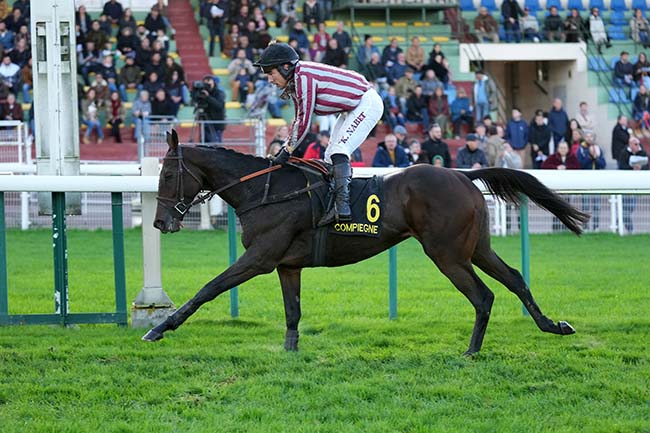 Photo d'arrivée de la course pmu GRAND STEEPLE-CHASE DE COMPIEGNE à COMPIEGNE le Samedi 25 octobre 2025