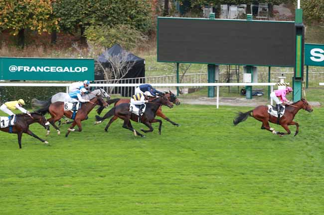 Photo d'arrivée de la course pmu PRIX ROYAL-OAK à SAINT CLOUD le Dimanche 26 octobre 2025