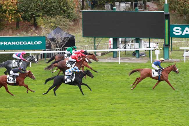 Photo d'arrivée de la course pmu PRIX DES HARAS à SAINT CLOUD le Dimanche 26 octobre 2025