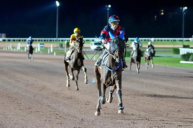 Photo d'arrivée de la course pmu PRIX QUADRILLE à ENGHIEN le Dimanche 26 octobre 2025