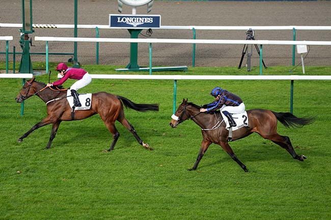 Photo d'arrivée de la course pmu PRIX MIESQUE à CHANTILLY le Lundi 27 octobre 2025
