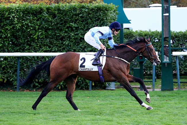 Photo d'arrivée de la course pmu PRIX DE SEINE-ET-OISE à CHANTILLY le Lundi 27 octobre 2025