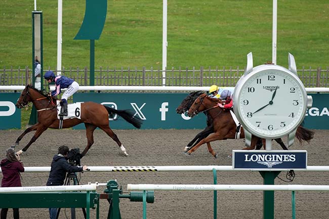 Photo d'arrivée de la course pmu PRIX DE LA CROIX D'ANLEU à CHANTILLY le Mardi 28 octobre 2025