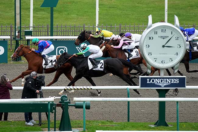 Photo d'arrivée de la course pmu PRIX DE L'ALLEE BRULETTE à CHANTILLY le Mardi 28 octobre 2025