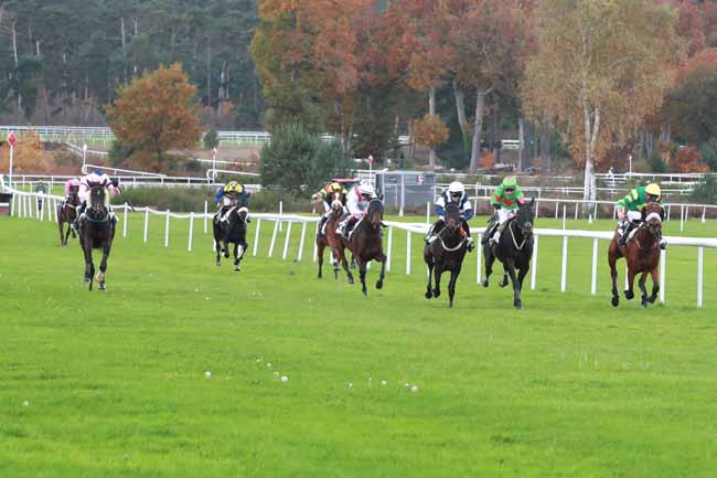 Photo d'arrivée de la course pmu PRIX DES GORGES D'APREMONT à FONTAINEBLEAU le Mardi 28 octobre 2025