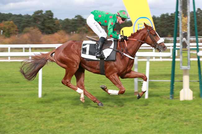 Photo d'arrivée de la course pmu PRIX DU THEATRE IMPERIAL DU CHATEAU DE FONTAINEBLEAU à FONTAINEBLEAU le Mardi 28 octobre 2025
