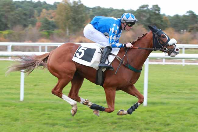 Photo d'arrivée de la course pmu PRIX PATRICE QUENEDEY à FONTAINEBLEAU le Mardi 28 octobre 2025