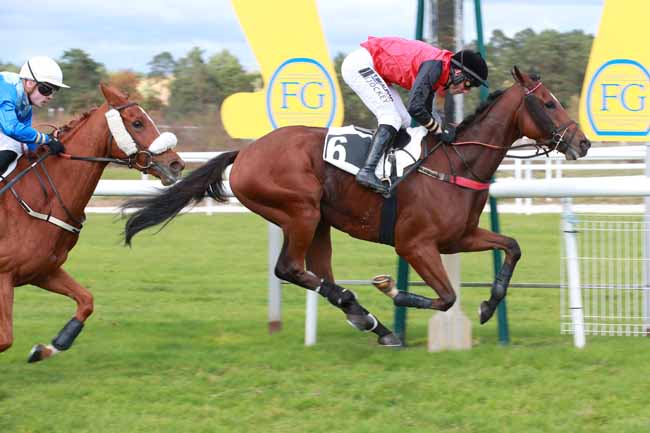 Photo d'arrivée de la course pmu PRIX DE THOMERY à FONTAINEBLEAU le Mardi 28 octobre 2025
